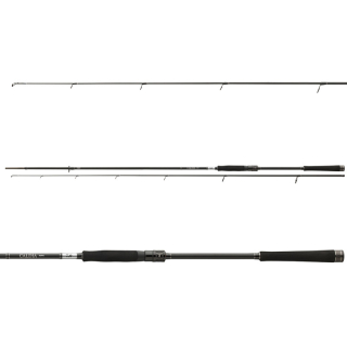 Daiwa CALDIA JIGGERSPIN 2,4m 7-28g