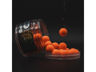 Squat Carp Pop-Up Mango