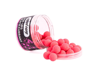 Squat Carp Pop-Up BlackCurrant