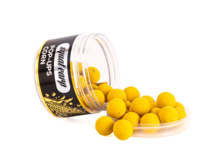 Squat Carp Pop-Up Corn